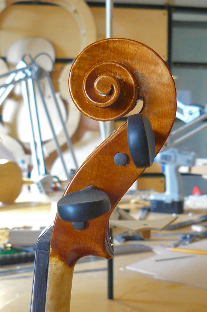 Violon 2009 - Tête